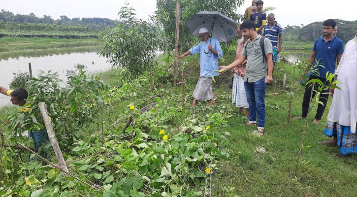 বনায়নের গাছ রক্ষার অজুহাতে শতাধিক কৃষকের সবজি গাছ কাটার অভিযোগ